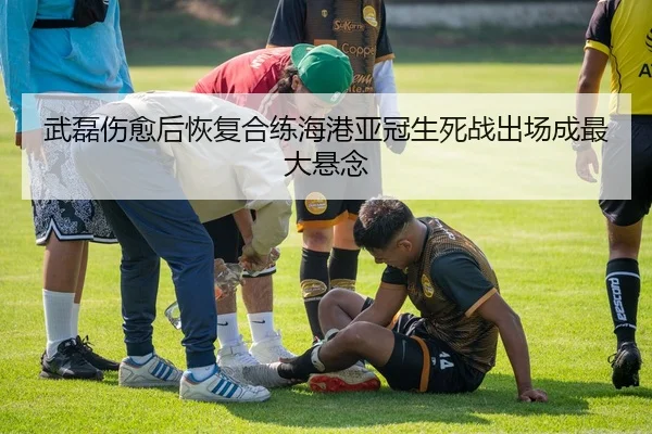 武磊伤愈后恢复合练海港亚冠生死战出场成最大悬念 | kaiyun.comapp