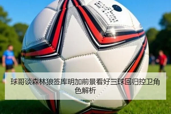 球哥谈森林狼签库明加前景看好三球回归控卫角色解析 | kaiyun.comapp